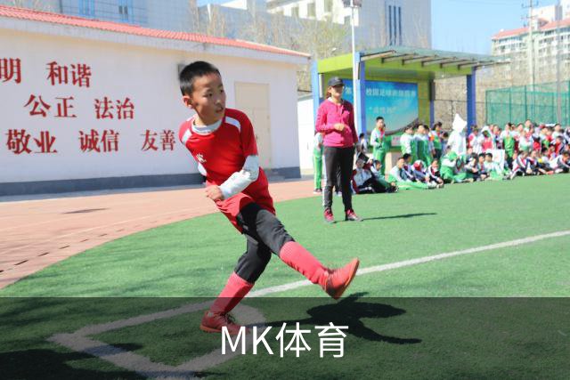 MK体育企业介绍